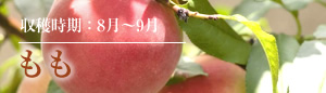 収穫時期:8月~9月 もも